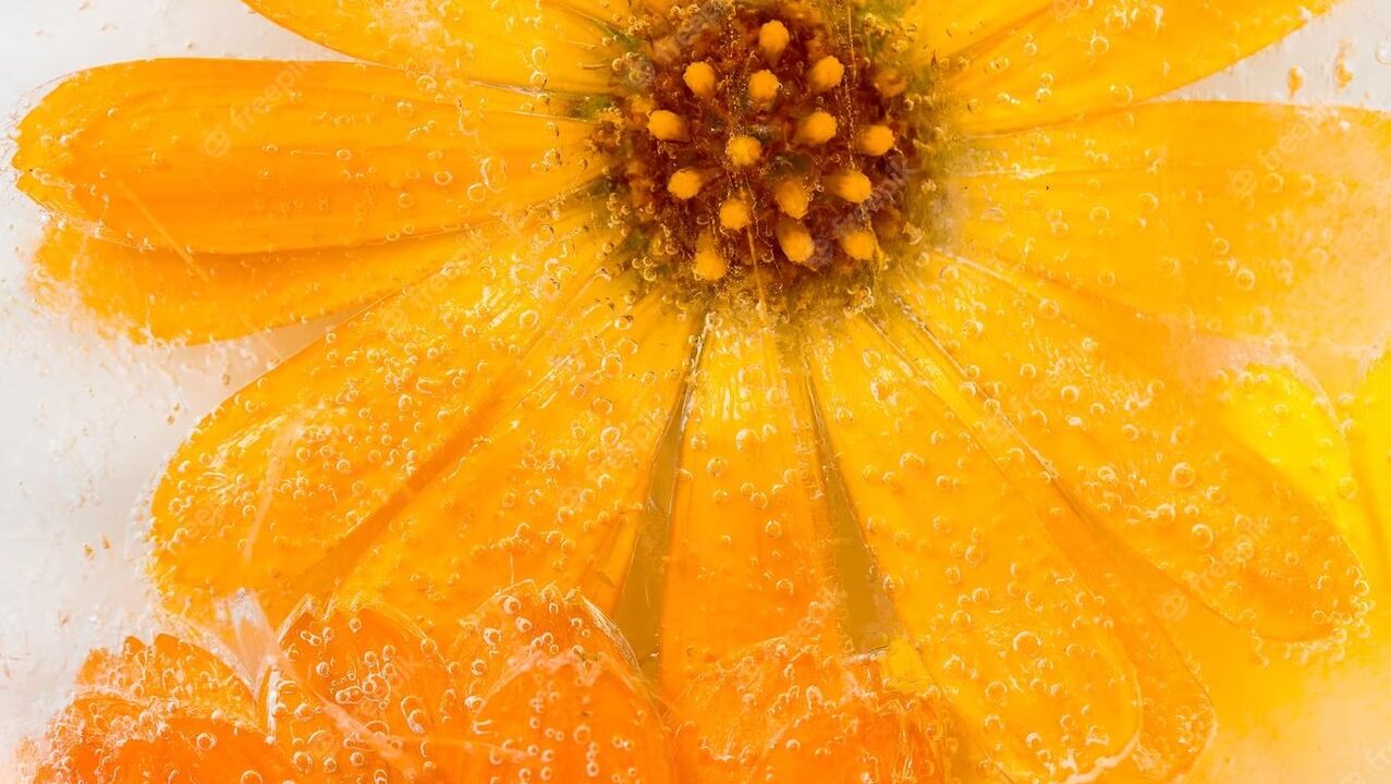 Calendula is a versatile plant suitable for any skin type. 