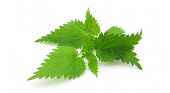 Nettles can eliminate acne and improve skin elasticity